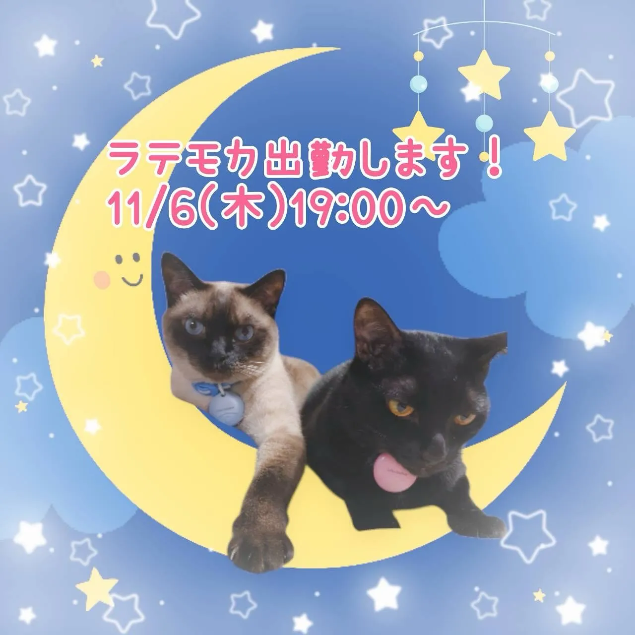 11月6日（木）
